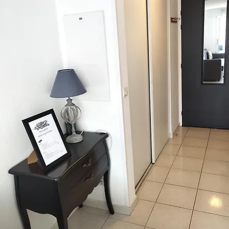 Climatise, Lumineux A 5 Min De La Promenade Des Appartement